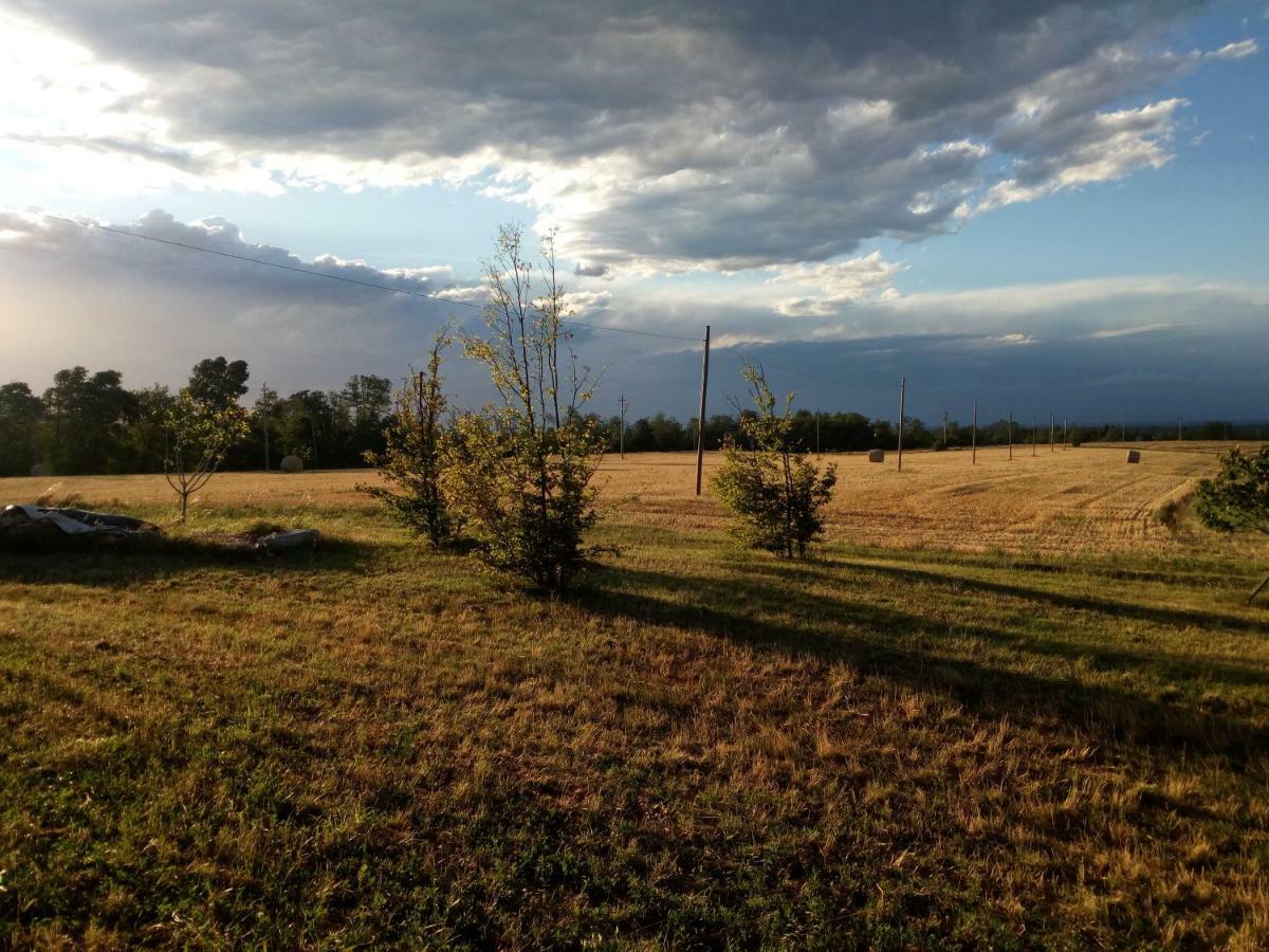 Willa Agriturismo Ca' Preda San Giorgio Piacentino Zewnętrze zdjęcie